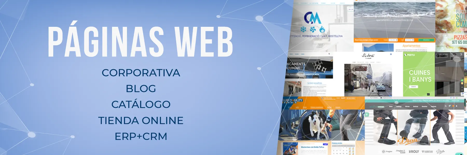 Pàgines web Páginas web